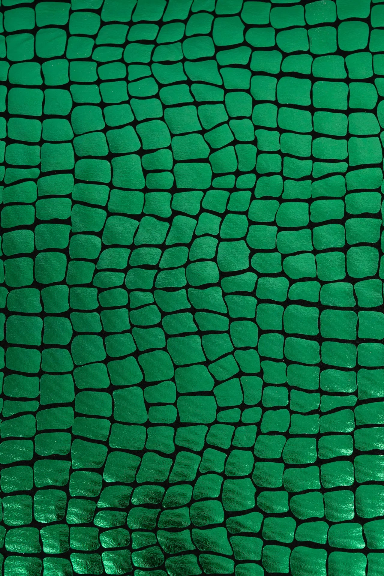 Lambe o crocodilo verde