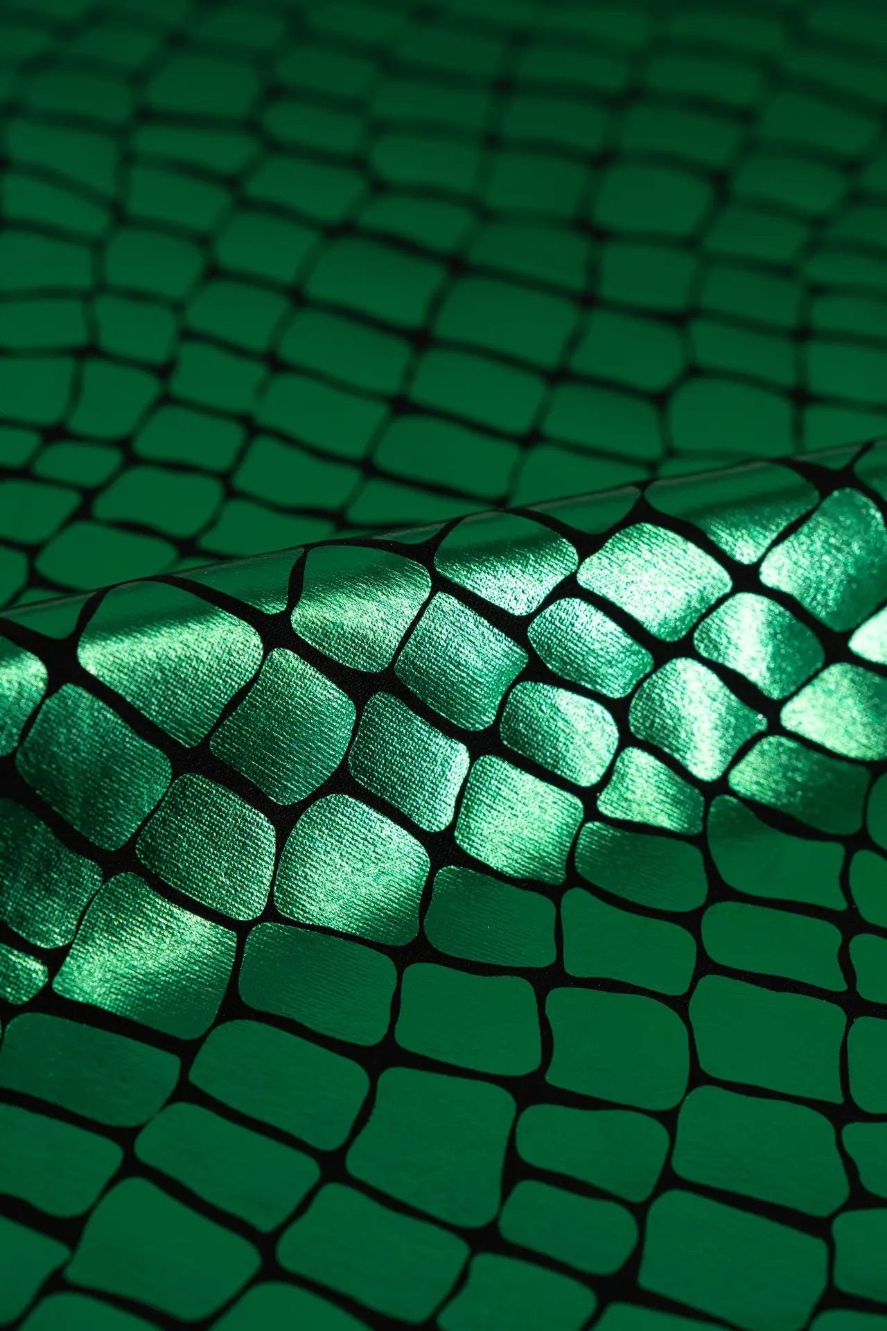 Lambe o crocodilo verde