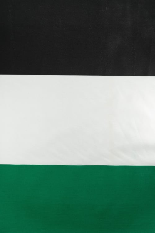 Bandera de Extremadura color verde y negro y blanco 