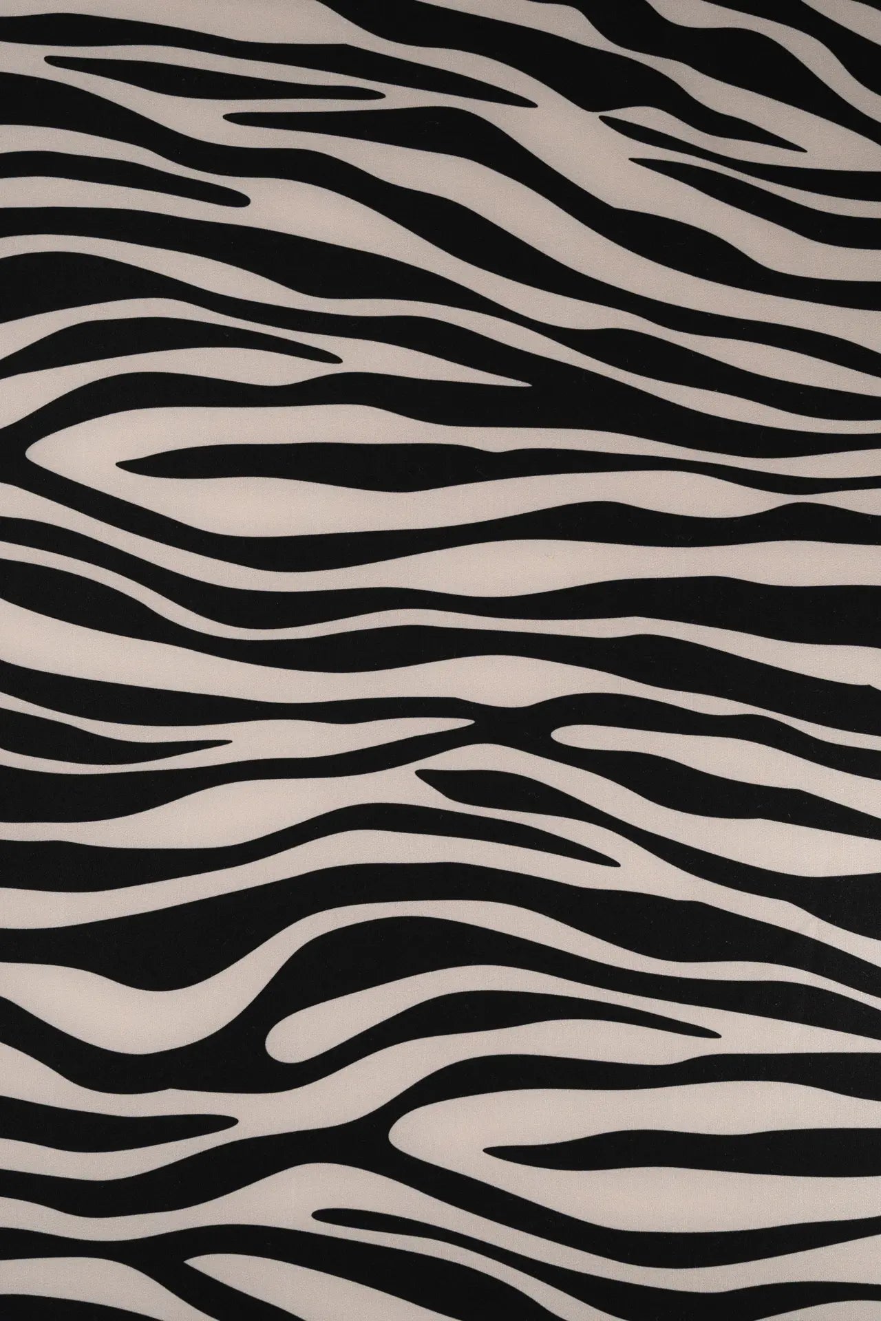 zebra bi-elástica