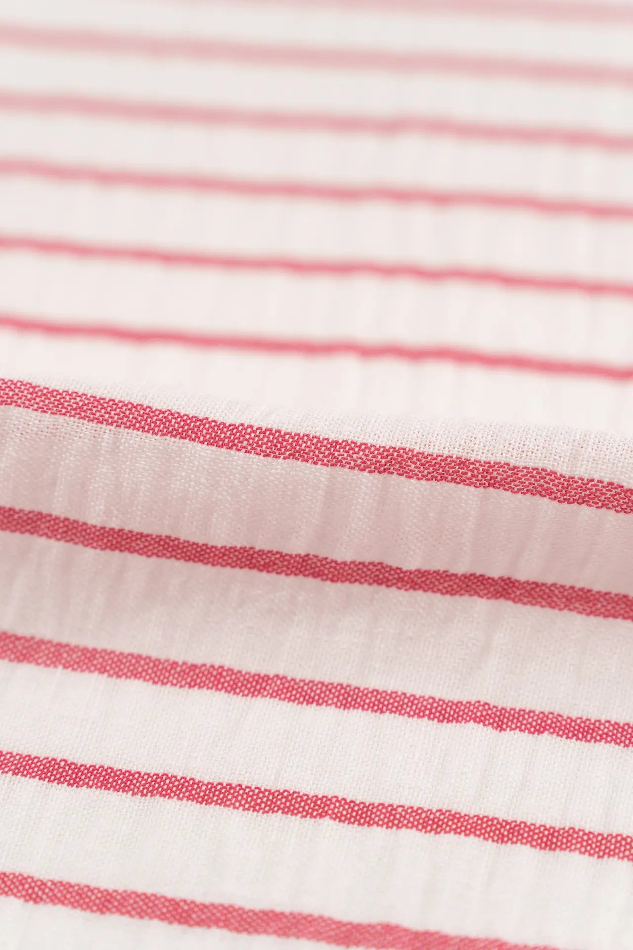 Bambula fúcsia roxo