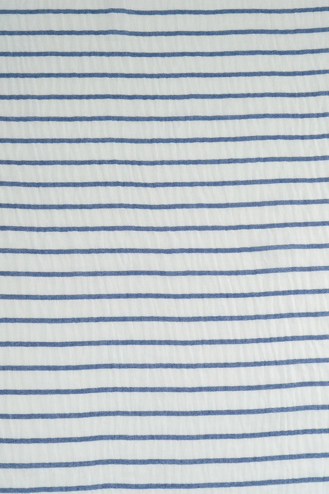 Bambula azul imperial