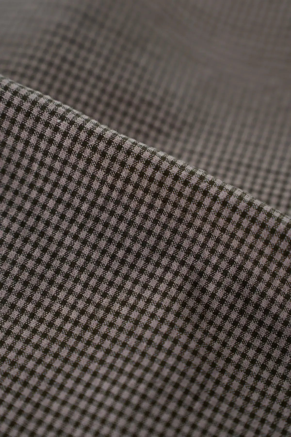 Batista  tobermory  otter