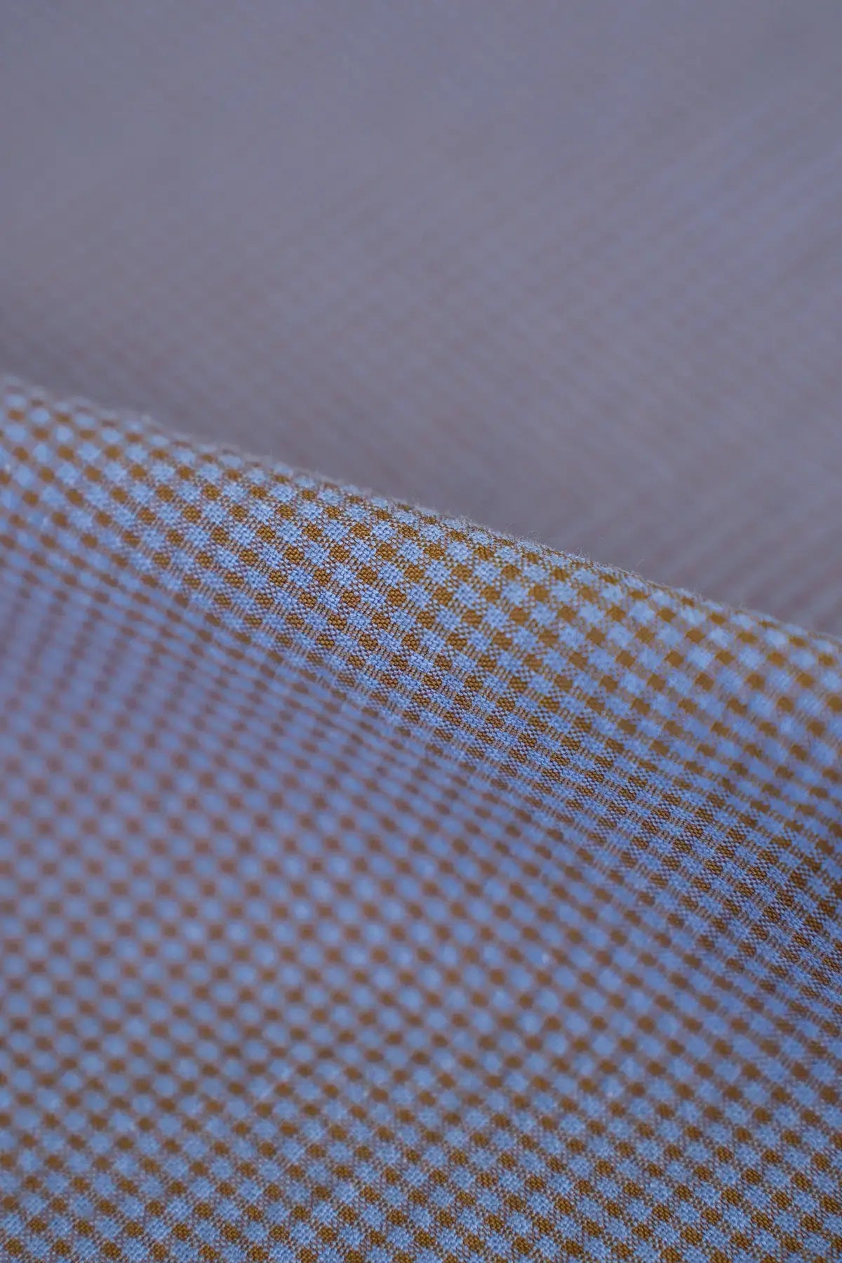 Batista  tobermory  tortuise shell