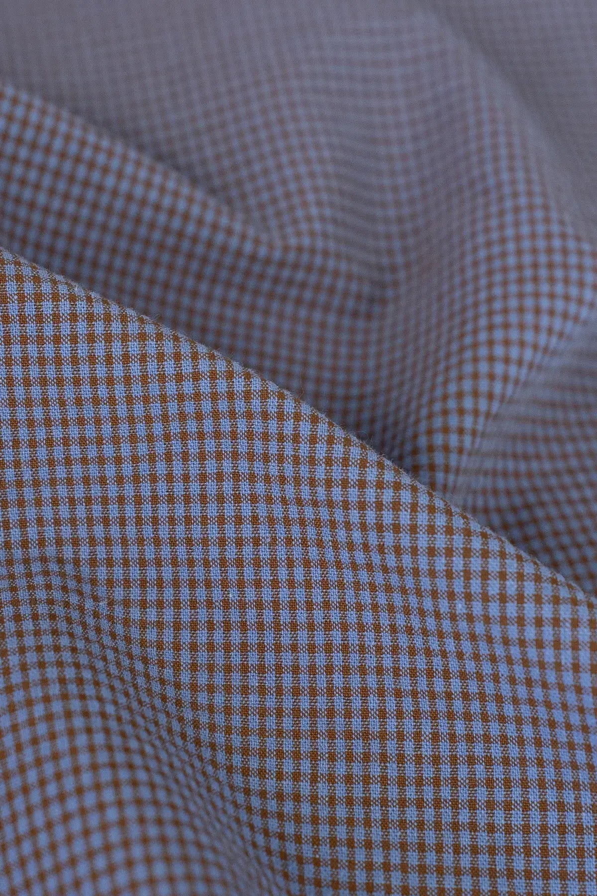 Batista  tobermory  tortuise shell