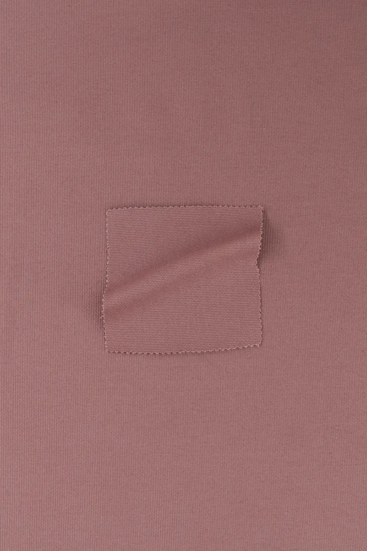 Canvas indore  nostalgia rose