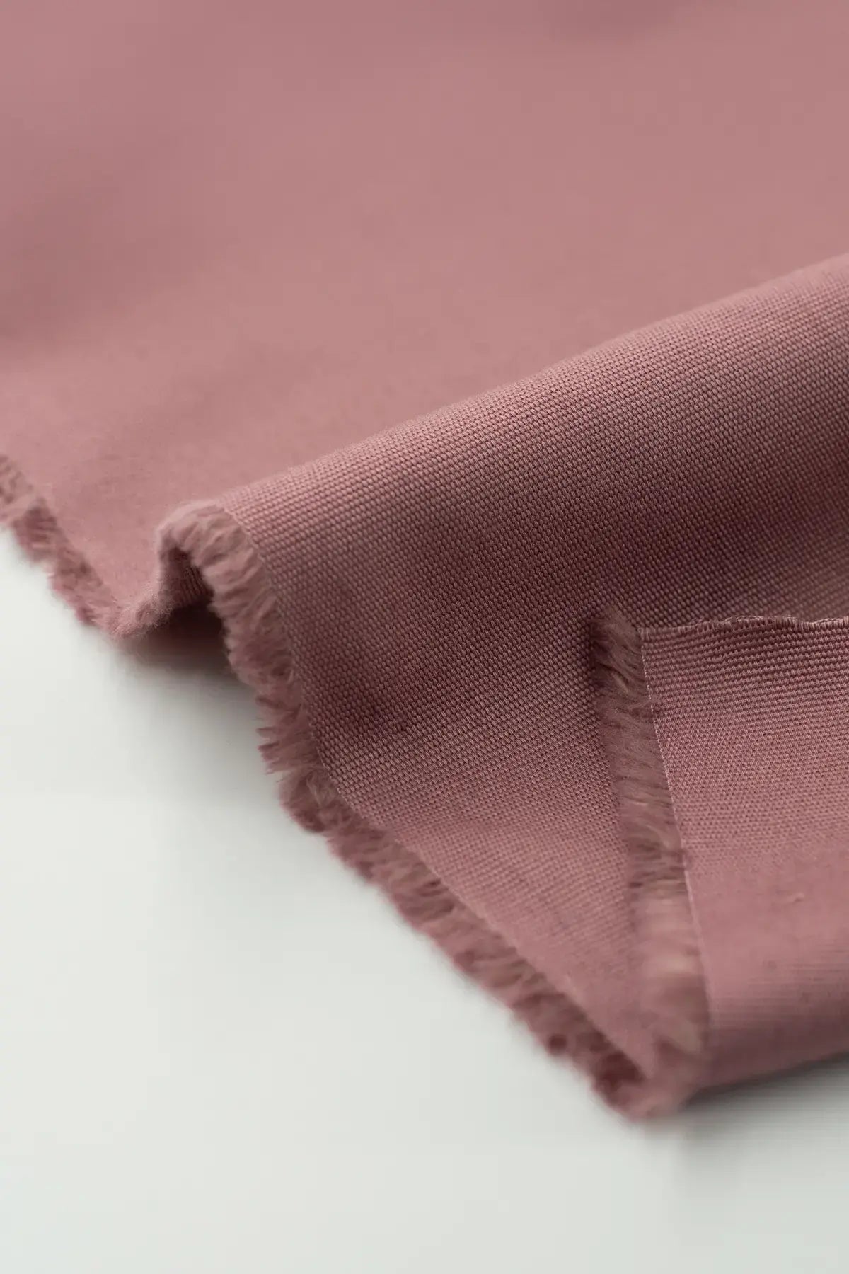 Canvas indore  nostalgia rose