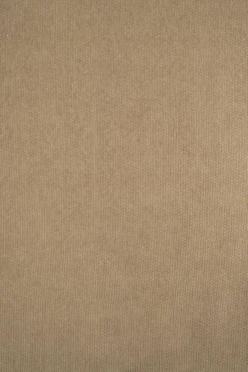Chenilla liso topo