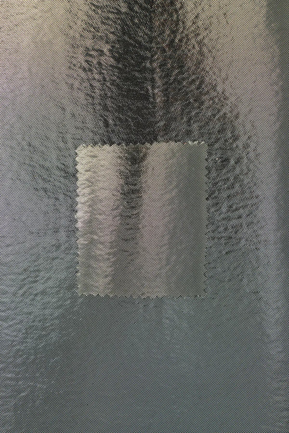 Foam metalizado nos  silver