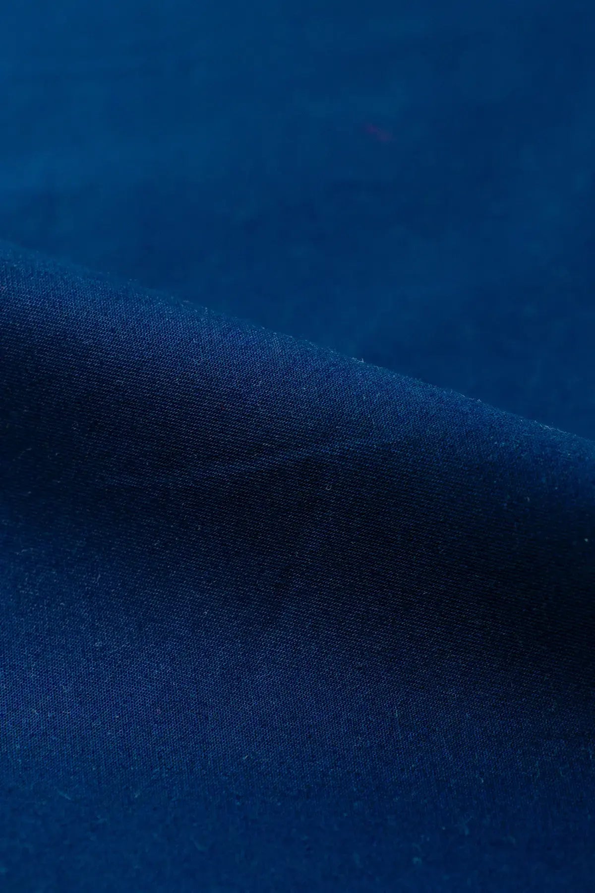 Gabardina wright  surf the web