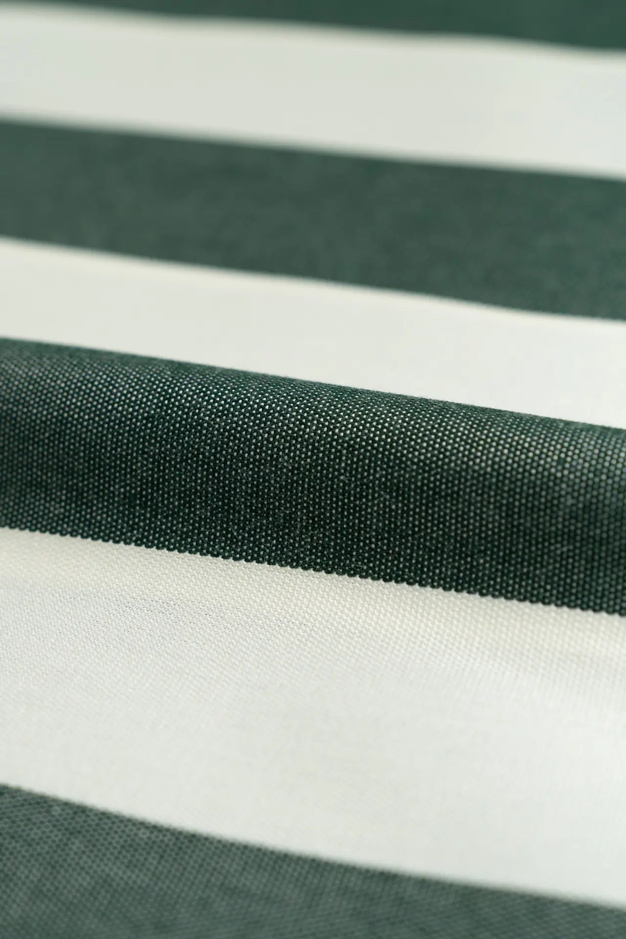 Tela de agulhas de pinheiro