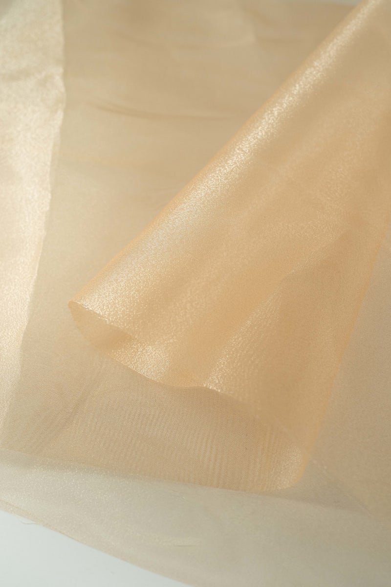 ORGANZA liso champán