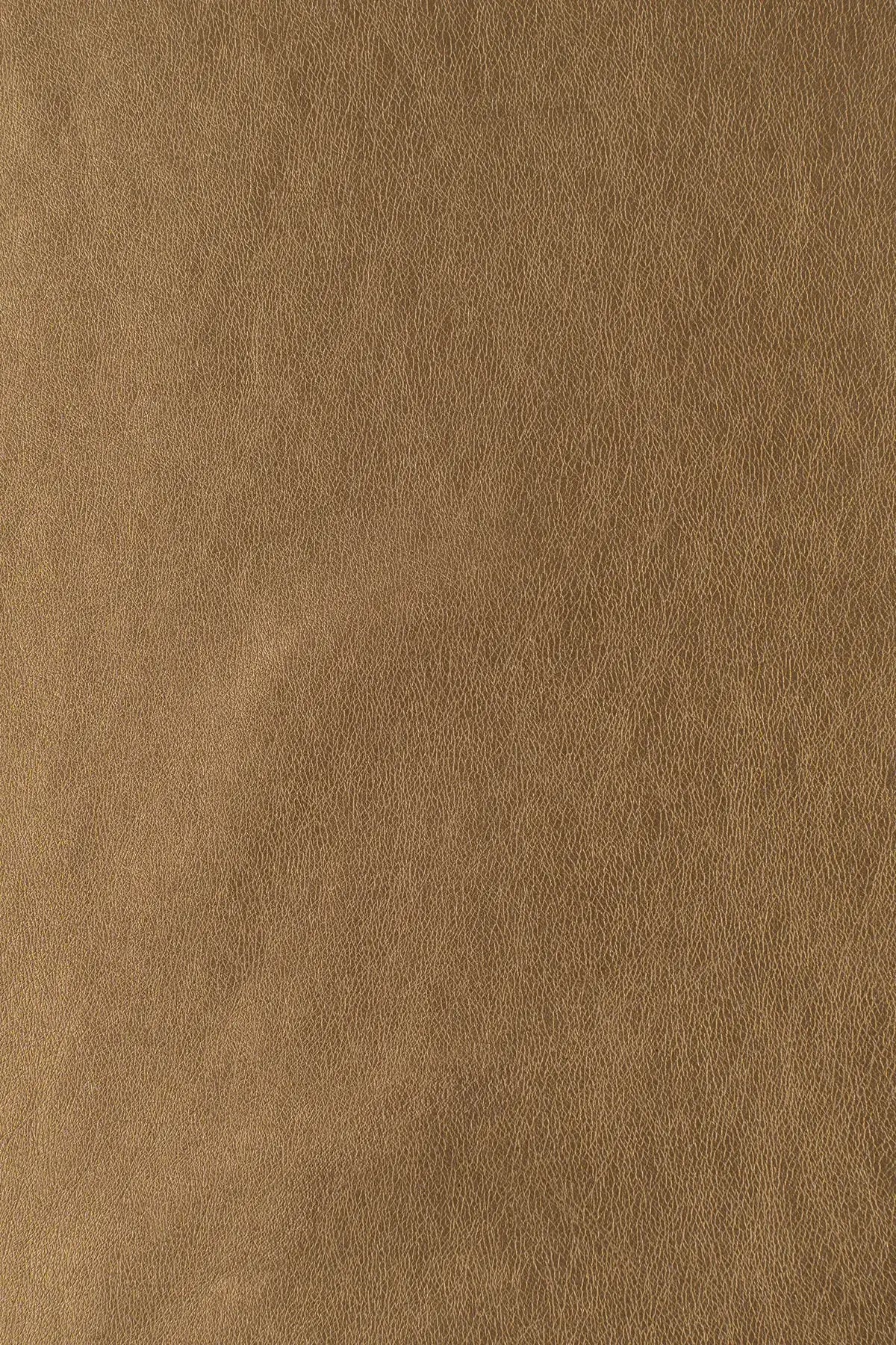 Piel sintetica yvoire  champagne beige