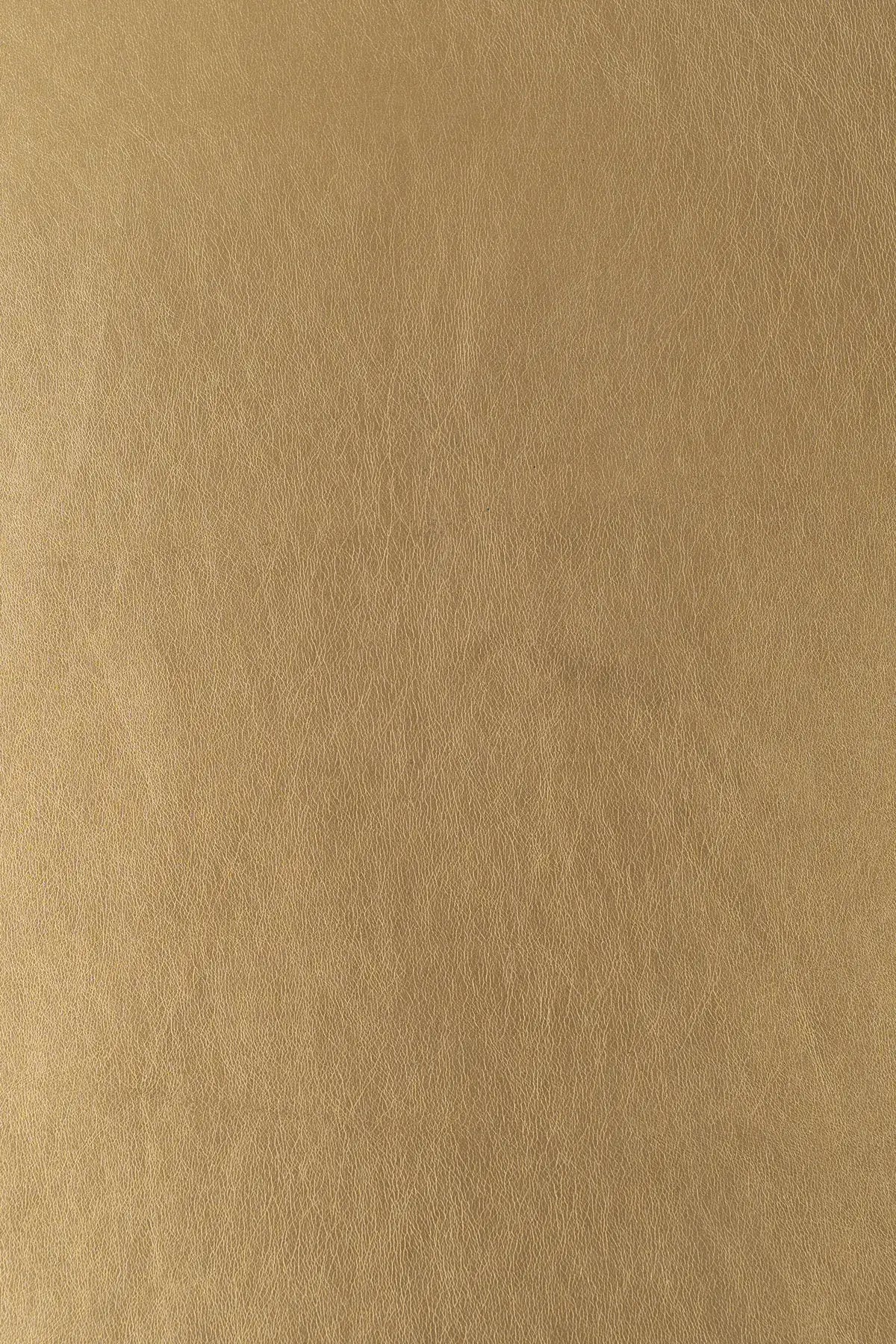 Piel sintetica yvoire  latté