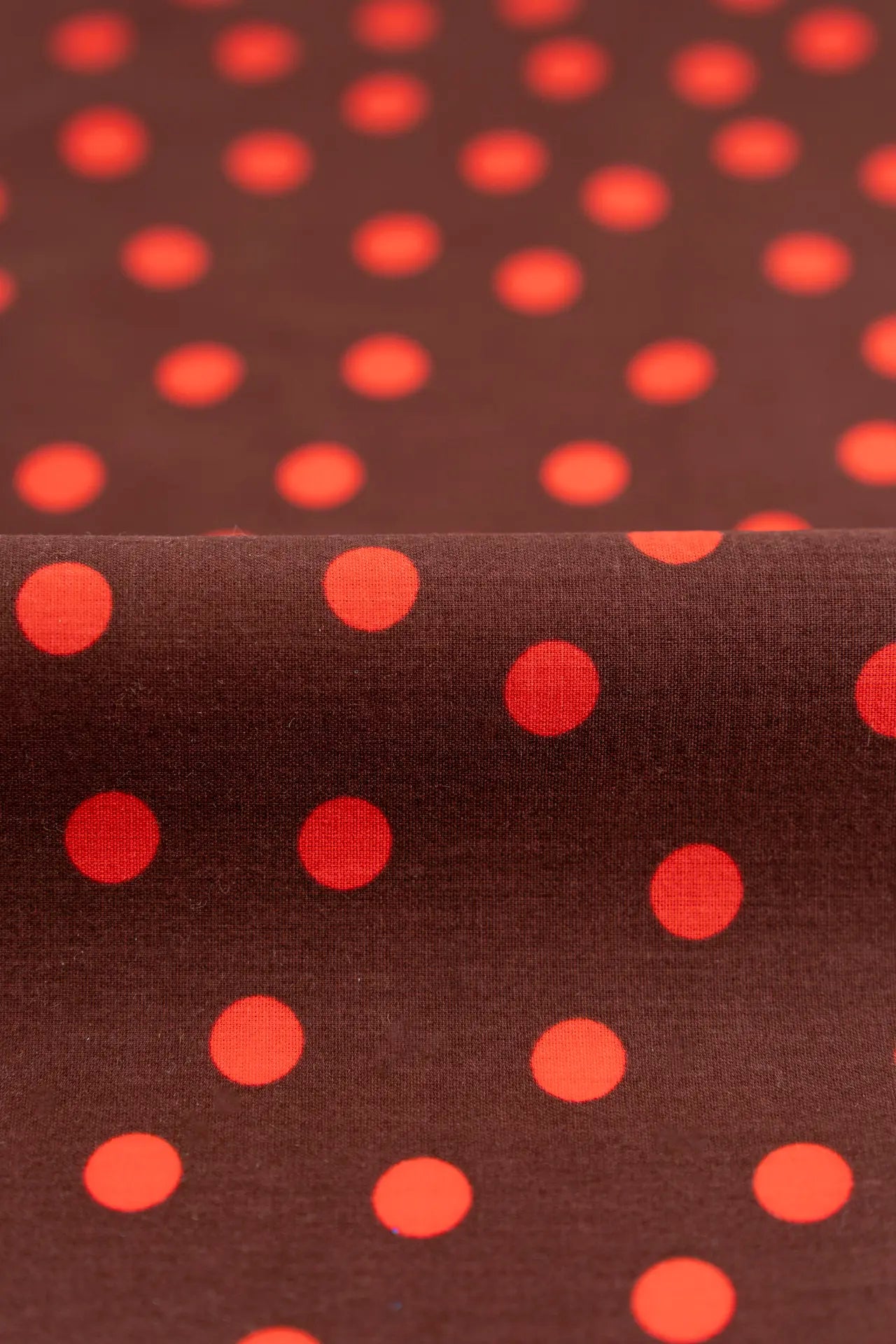 popelina castanho cordovan