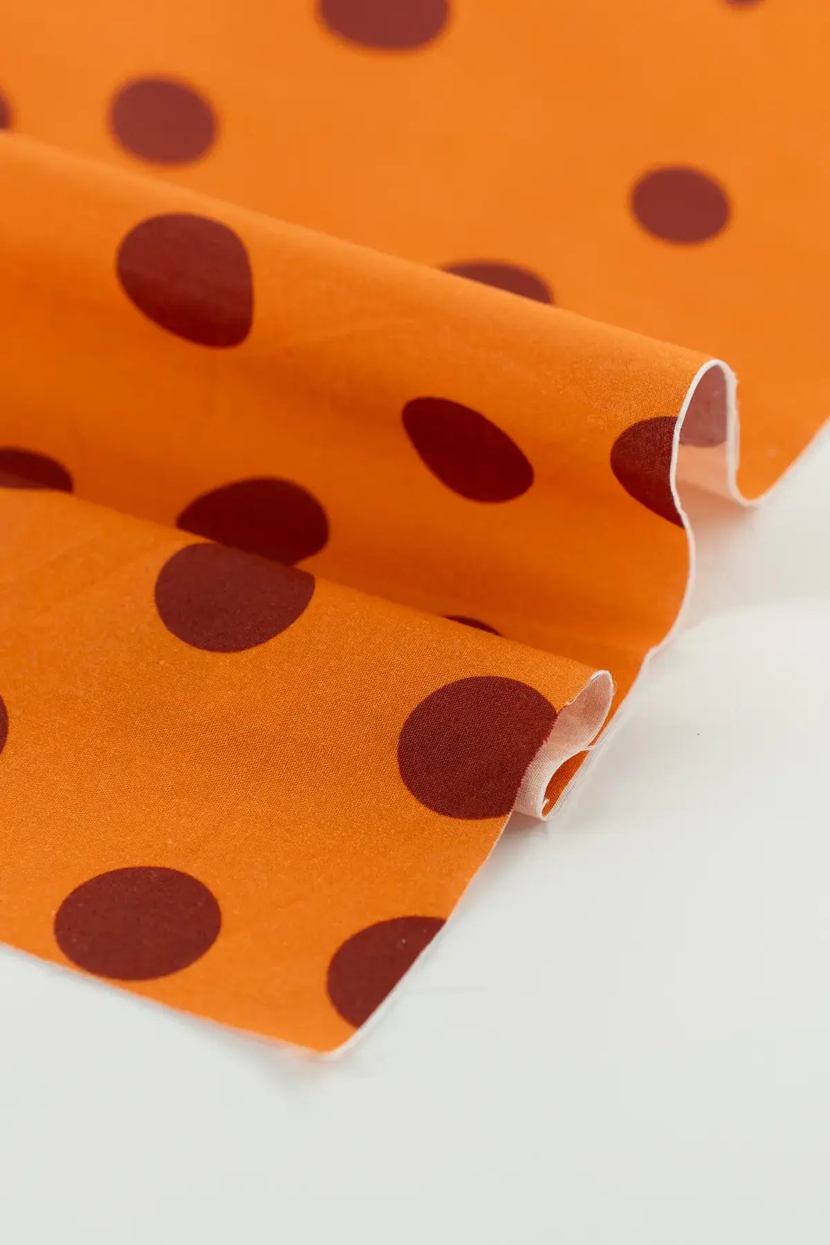 Popelin remedios  autumn sunset