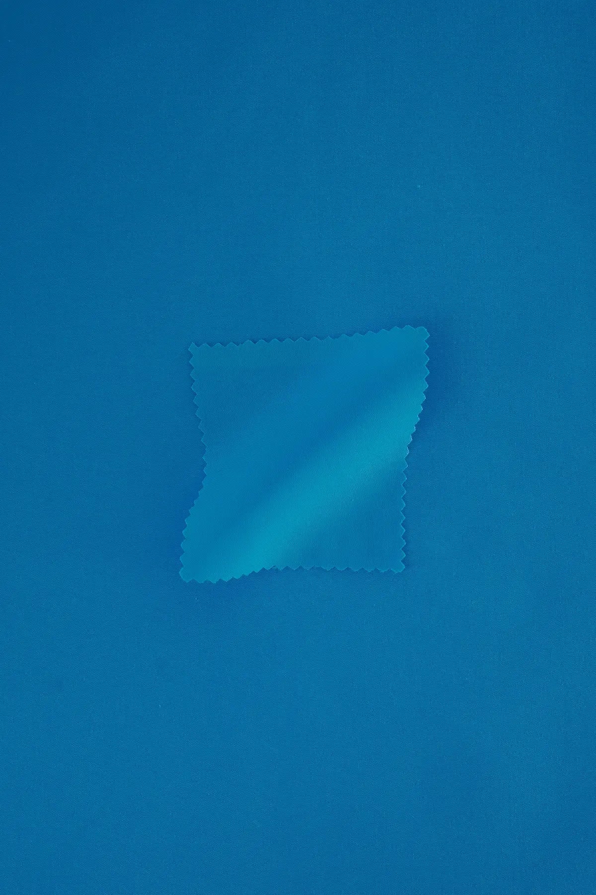 Popelin flamenca  larkspur