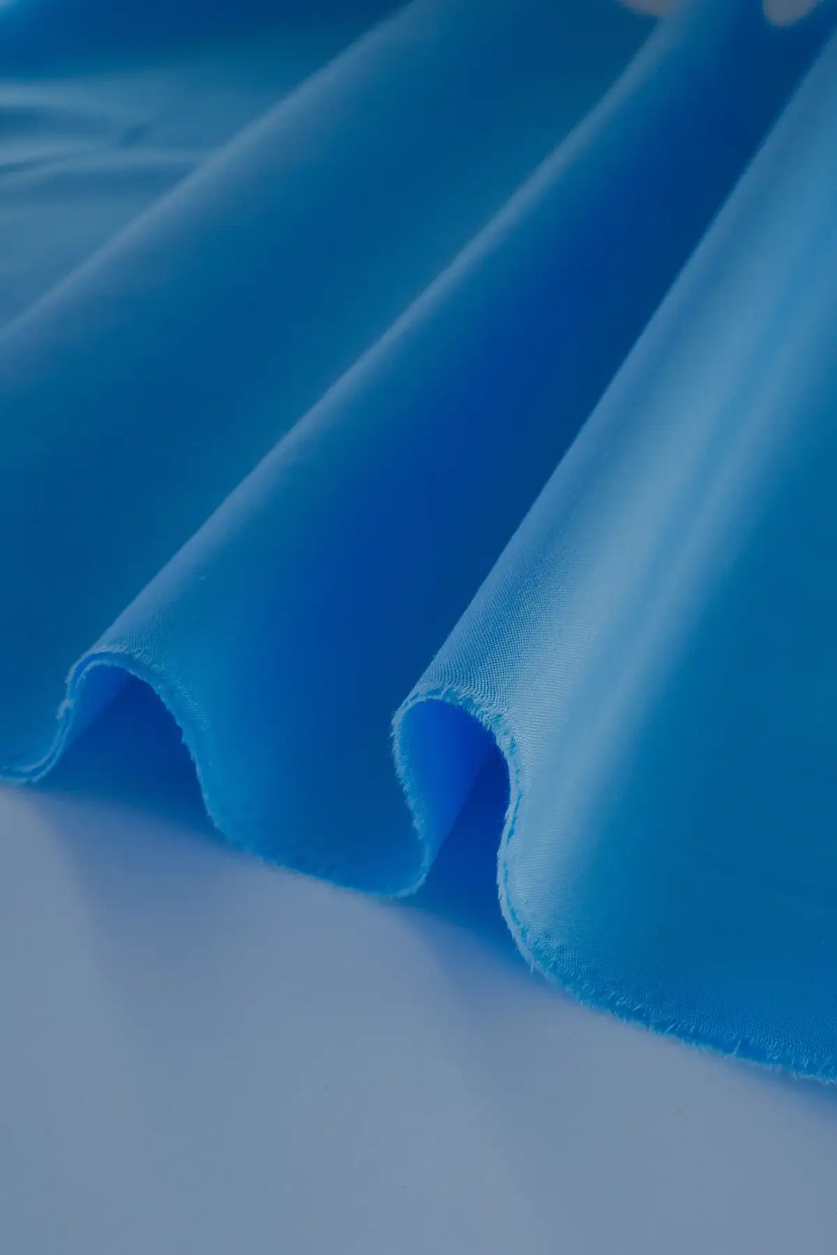 Popelin flamenca  larkspur