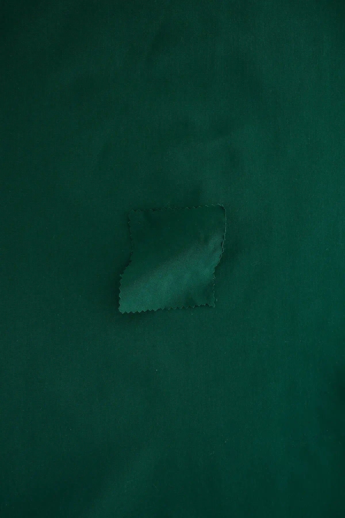 Popelin flamenca  sycamore