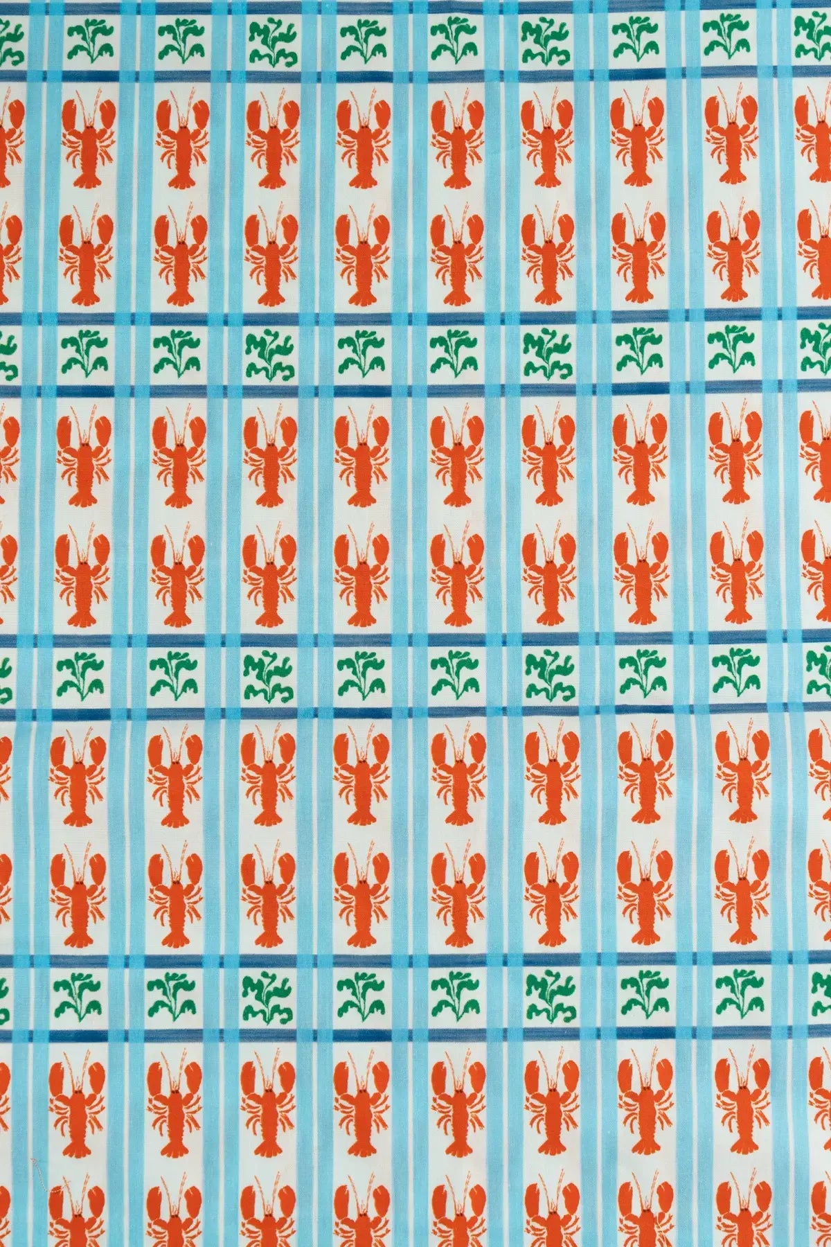 Popelin langostas  bacherol button