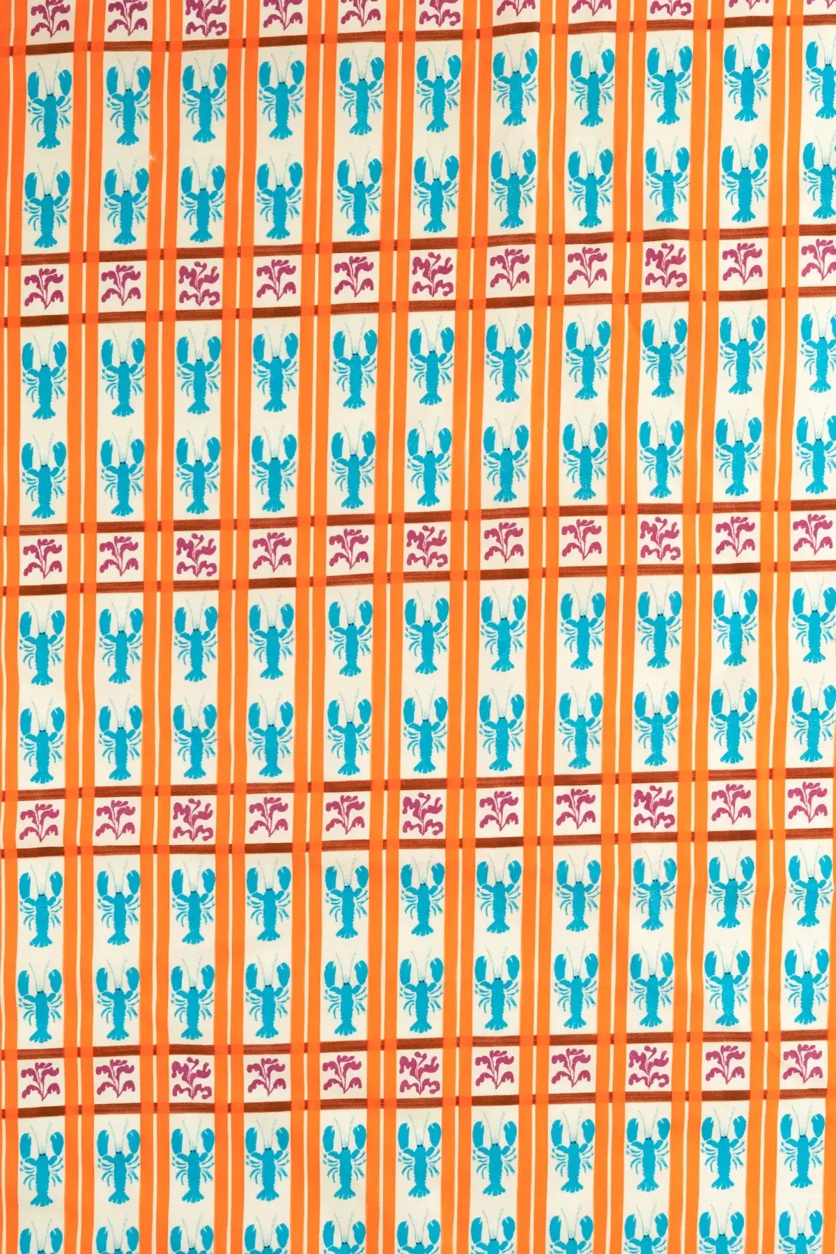 Popelin langostas  bird of paradaise