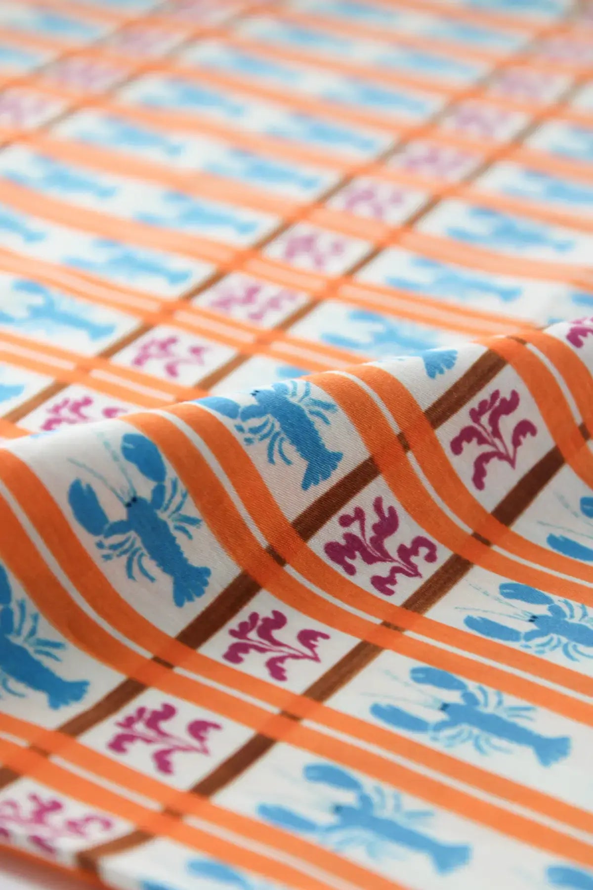 Popelin langostas  bird of paradaise