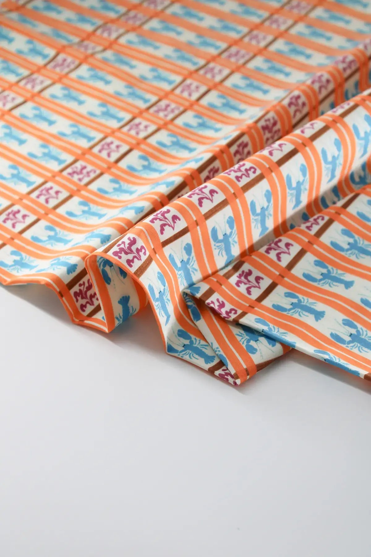 Popelin langostas  bird of paradaise