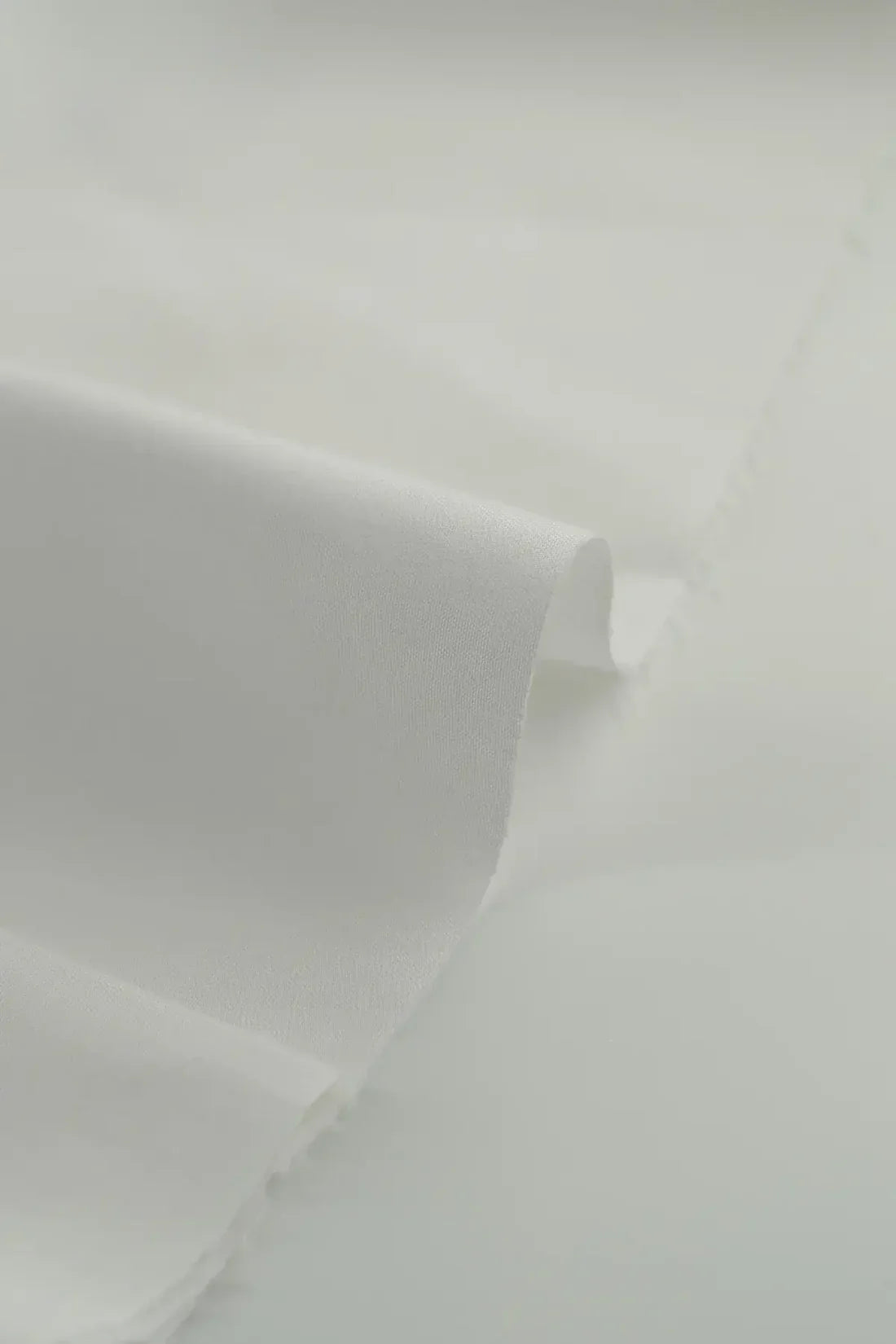 Sarga lisa blanca