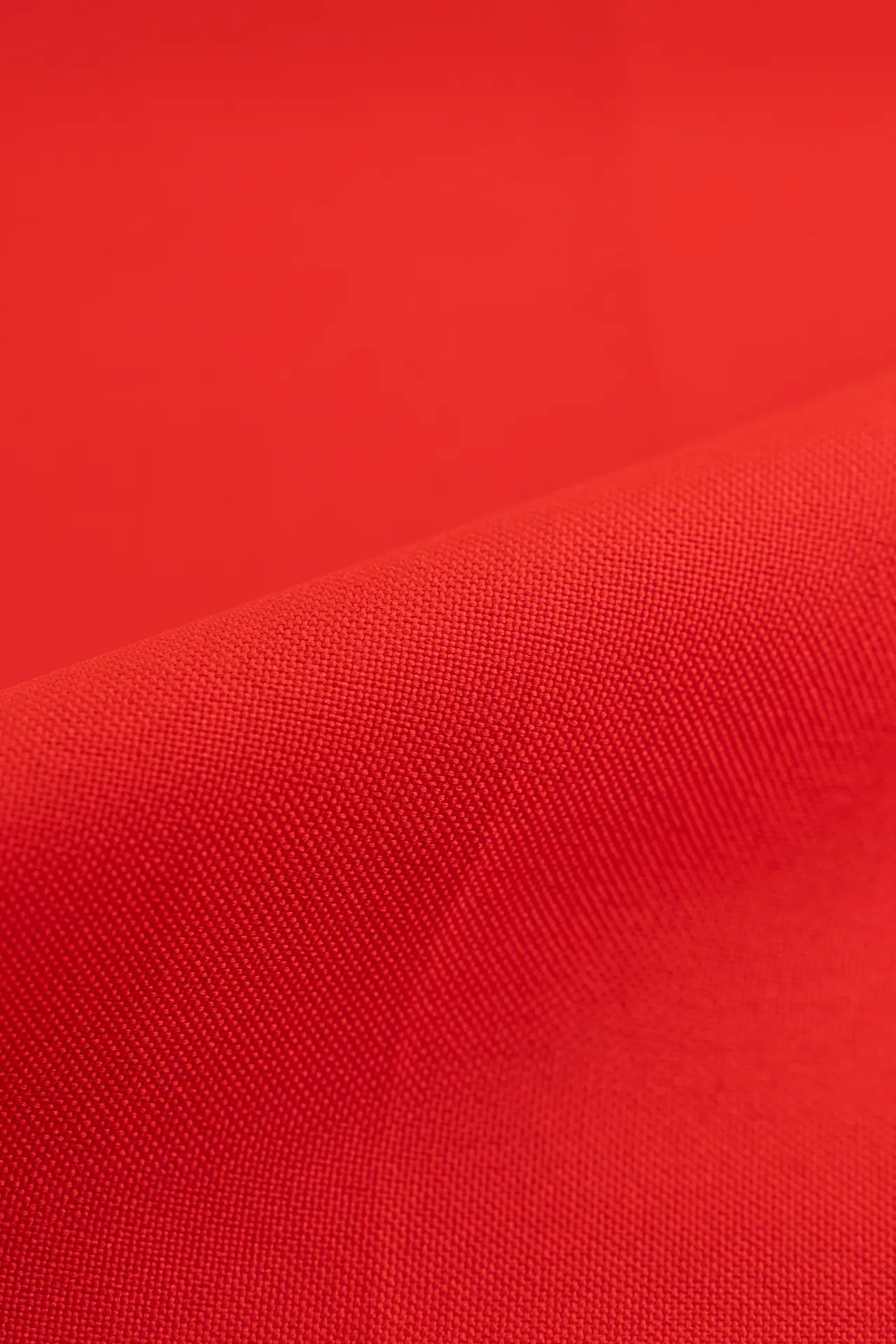 tomate cereja esticado