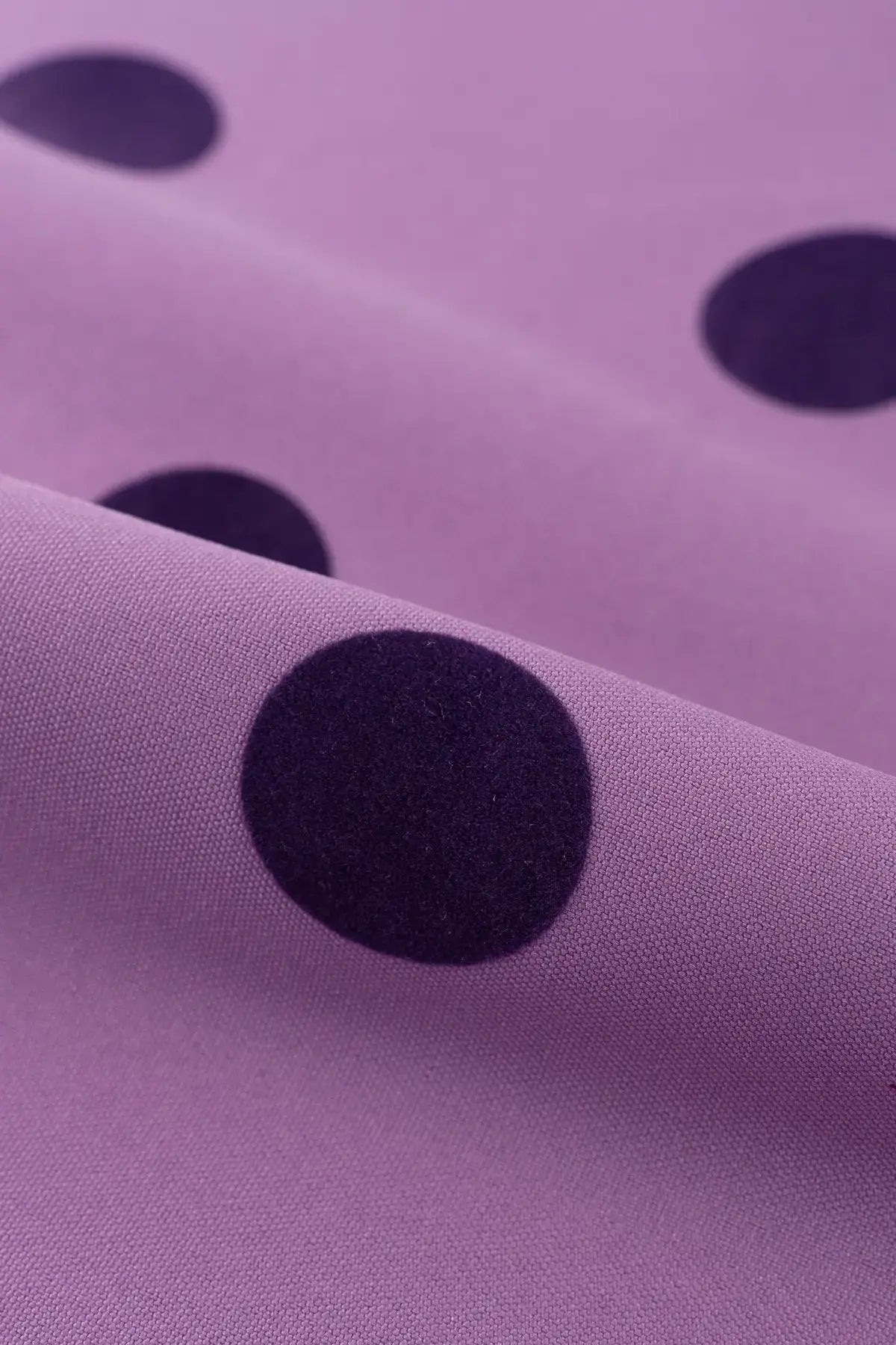 Strech triana  african violet