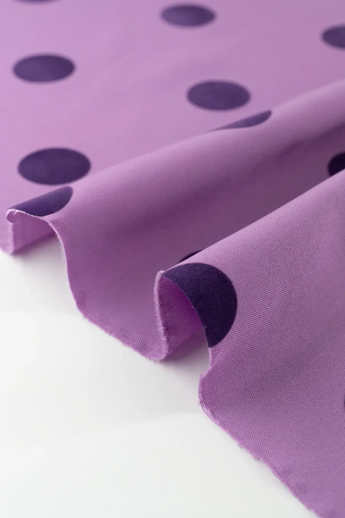 Strech triana  african violet