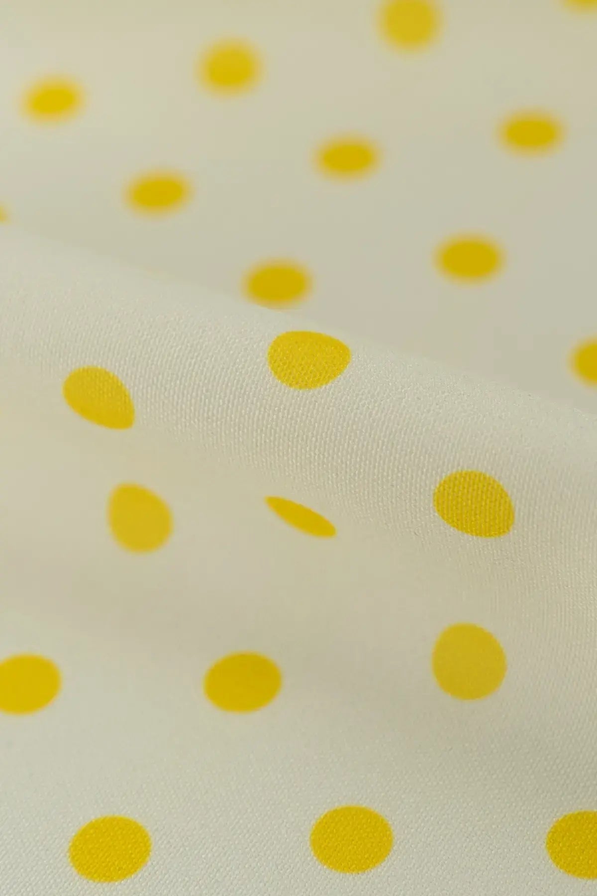 Strech alameda  blanc de blanc