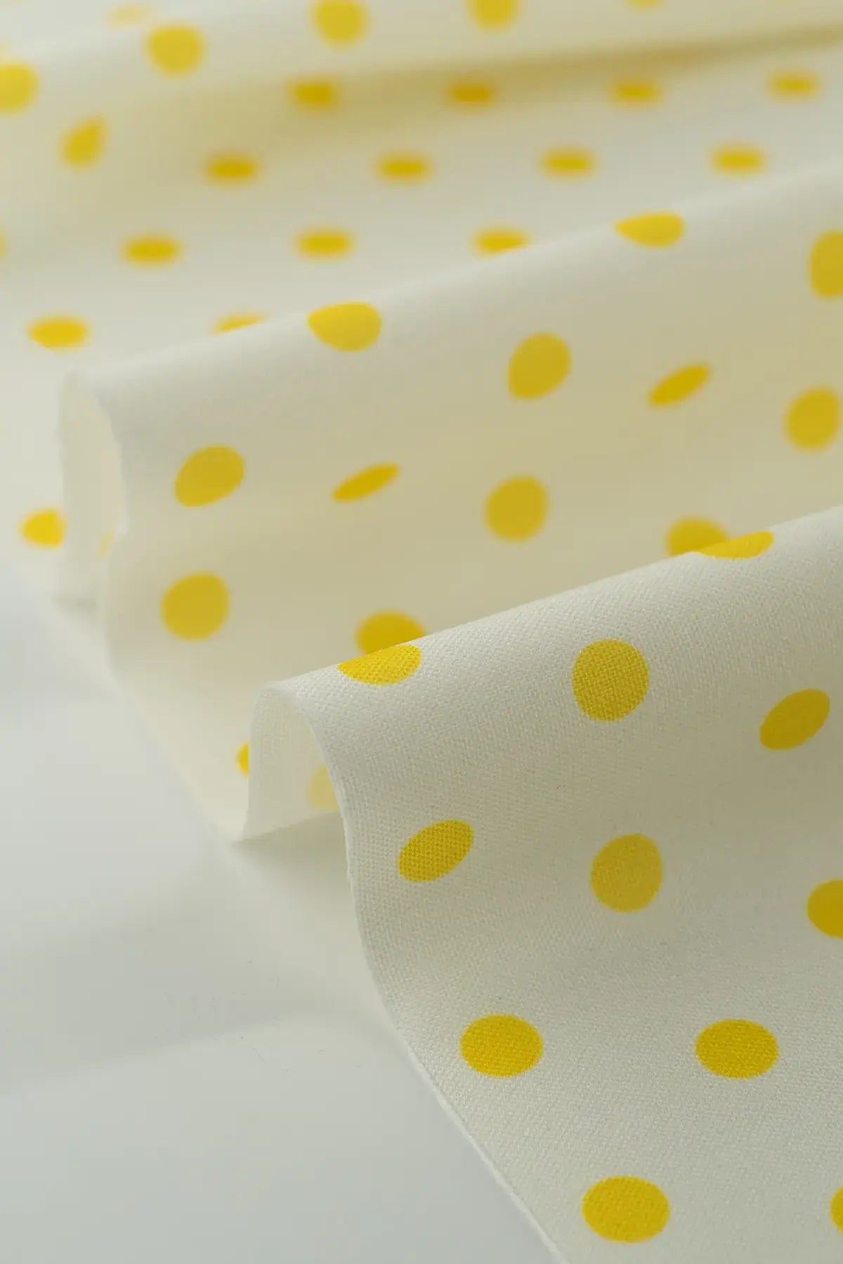 Strech alameda  blanc de blanc