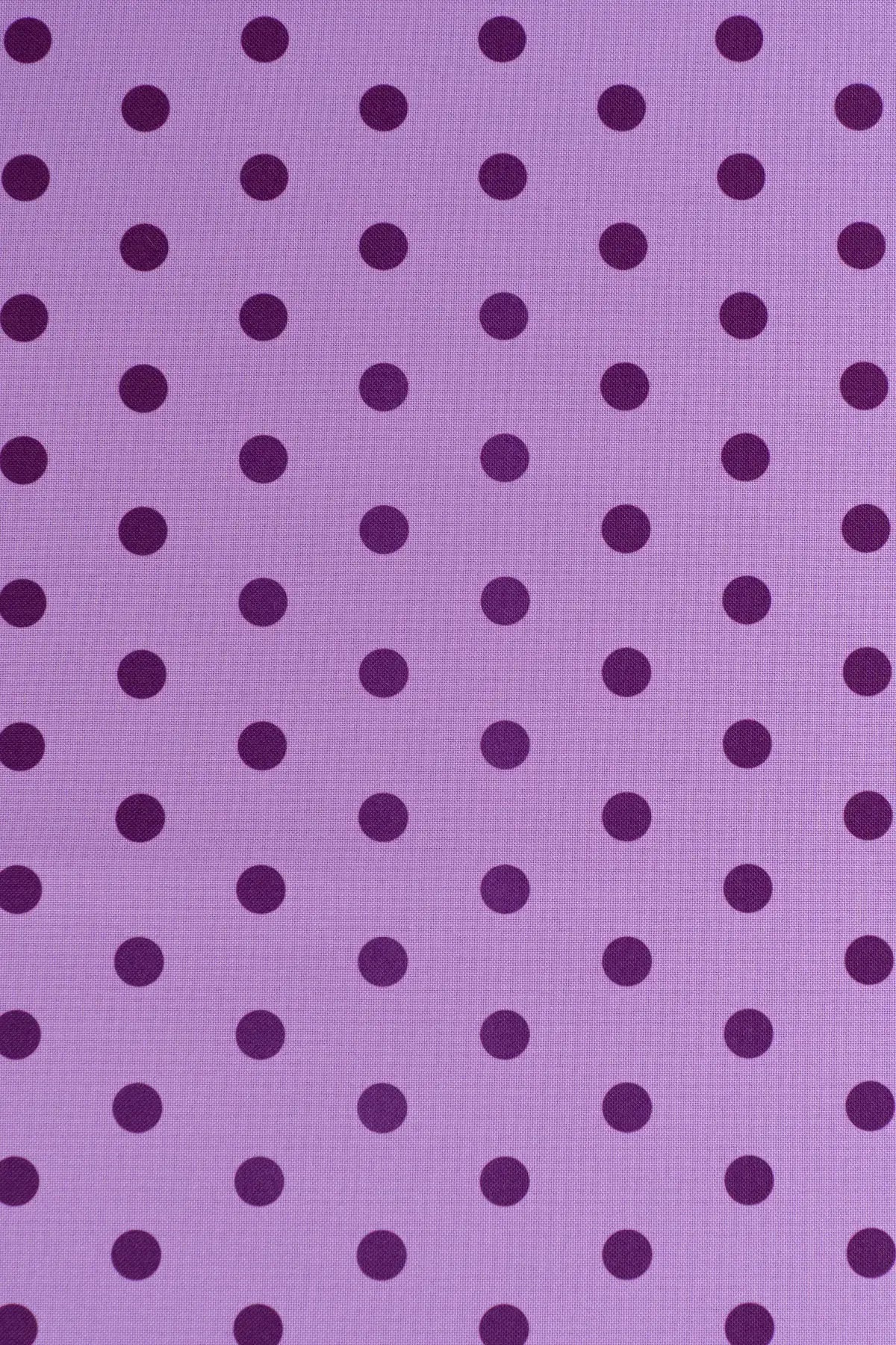 Strech alameda  african violet