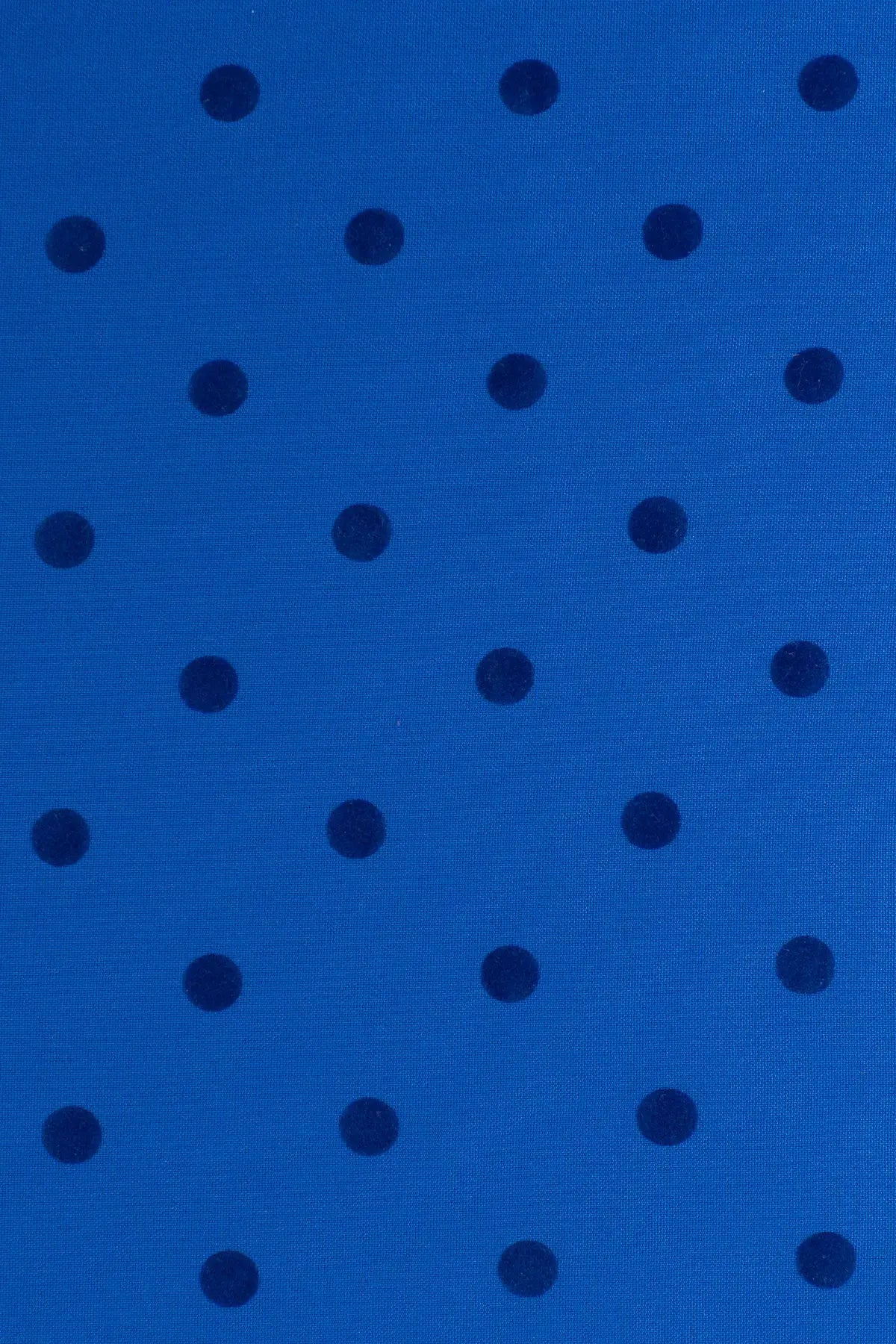 Strech alameda  classic blue