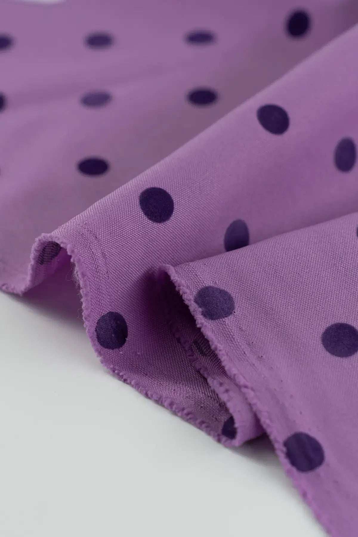 Strech alameda  african violet