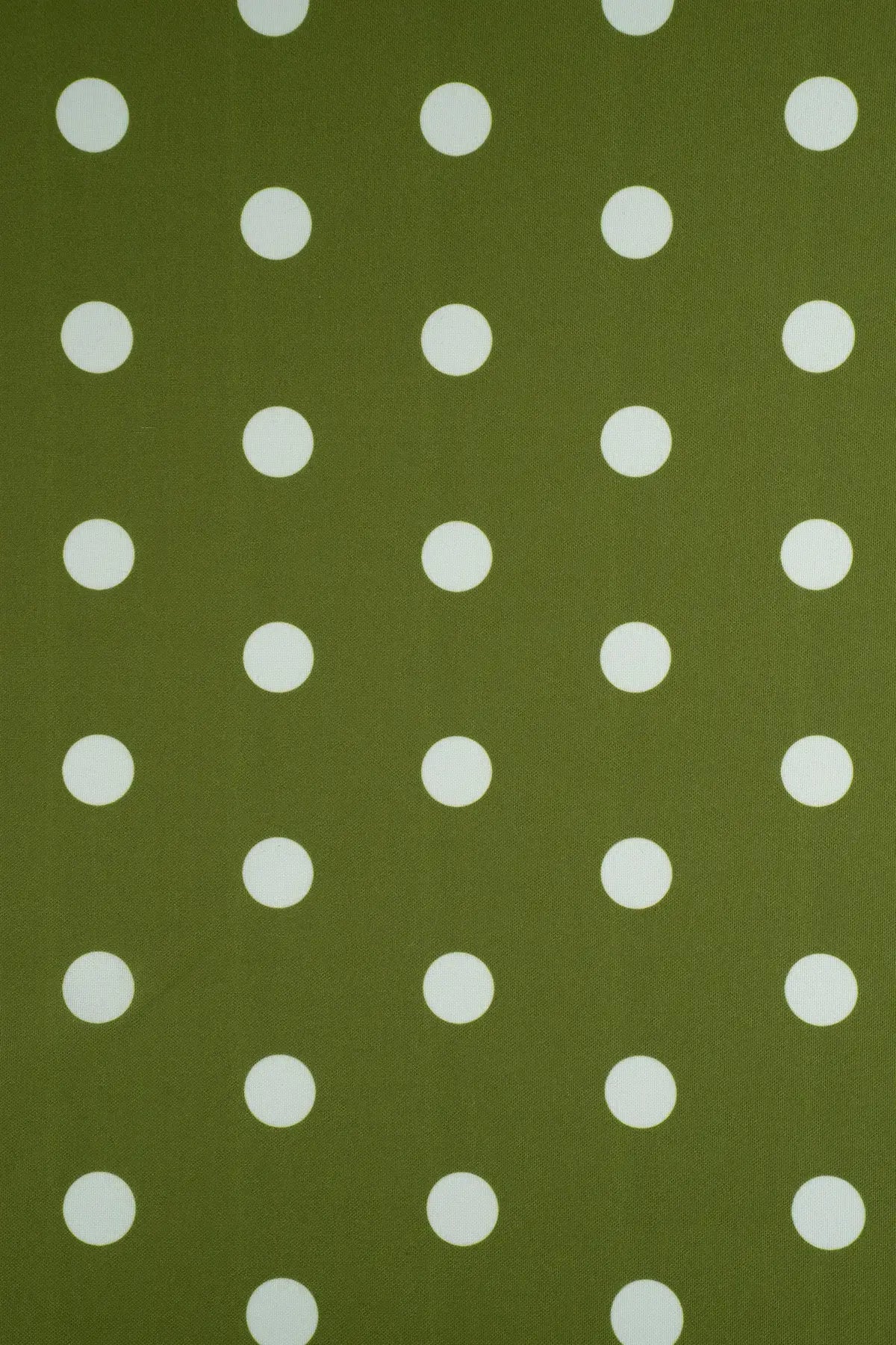 Strech alameda  olive night