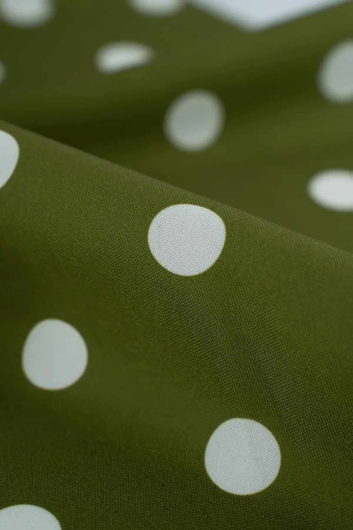 Strech alameda  olive night