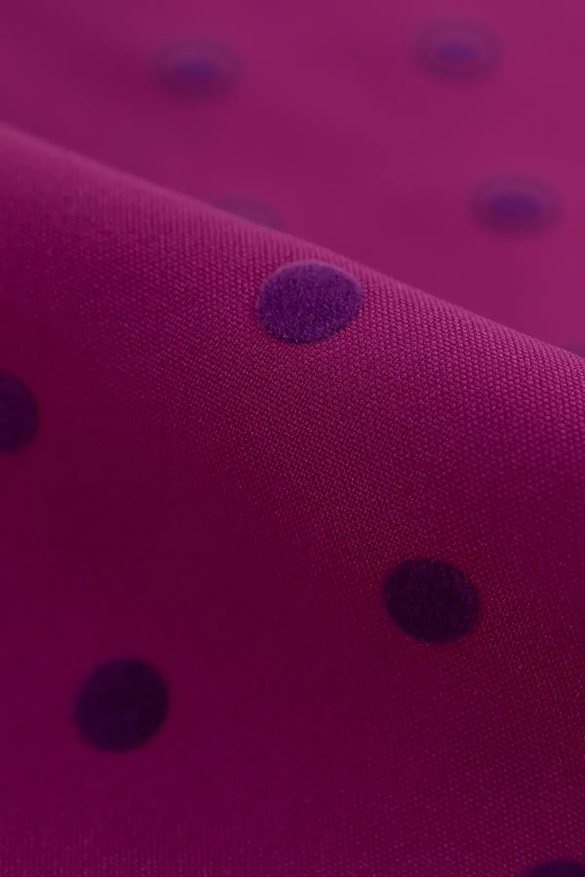 Strech alameda  boysenberry