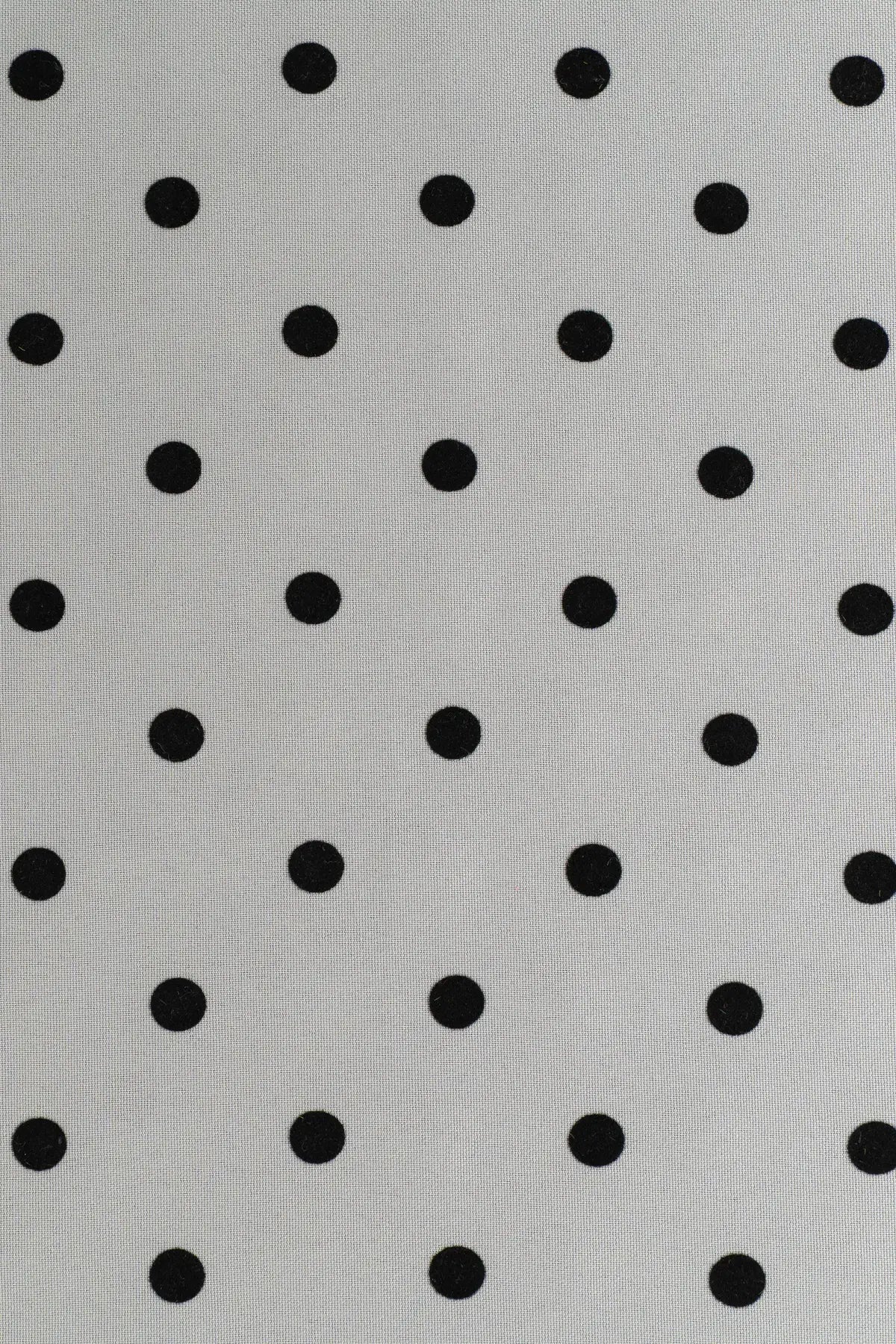 Strech alameda  caviar