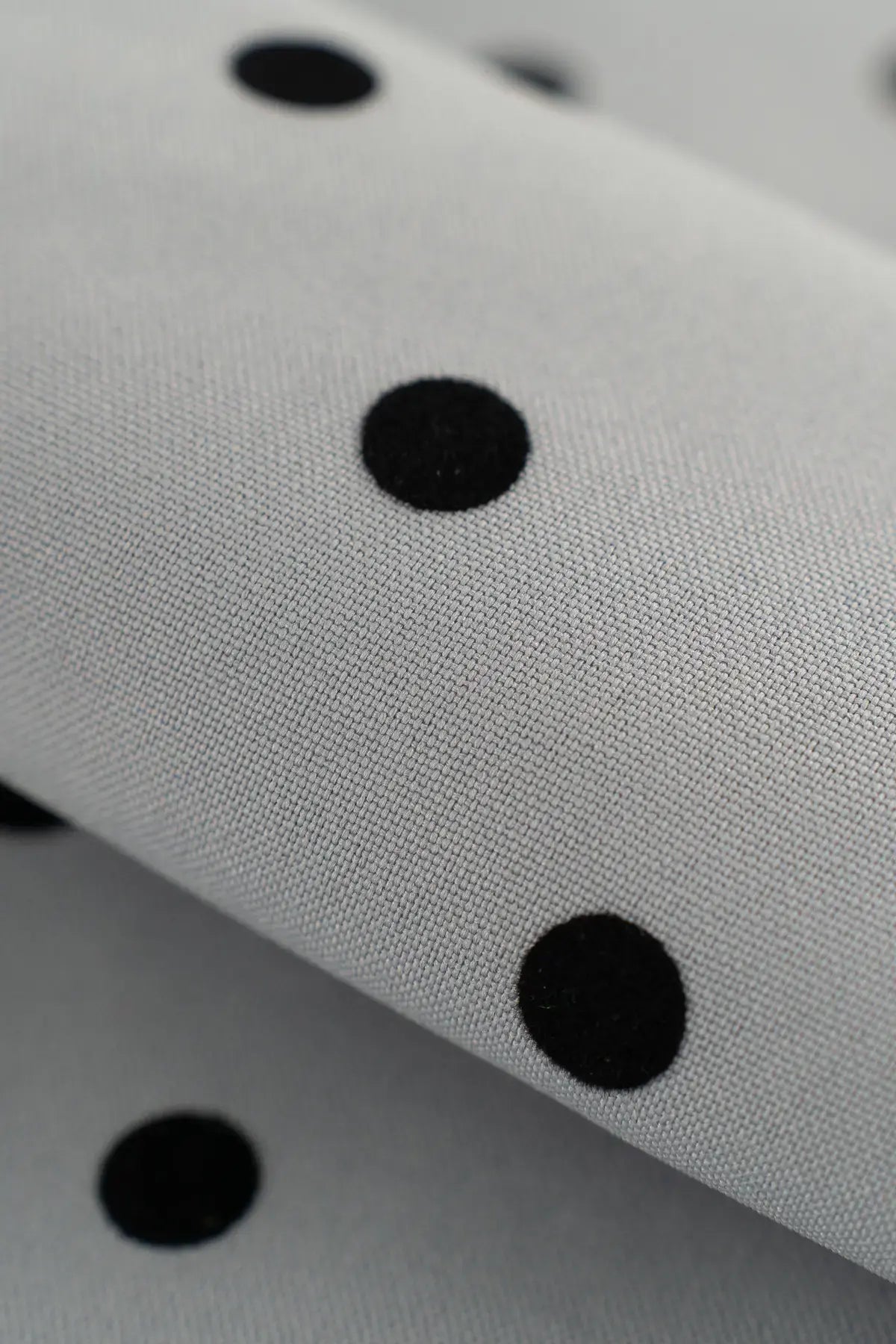 Strech alameda  caviar