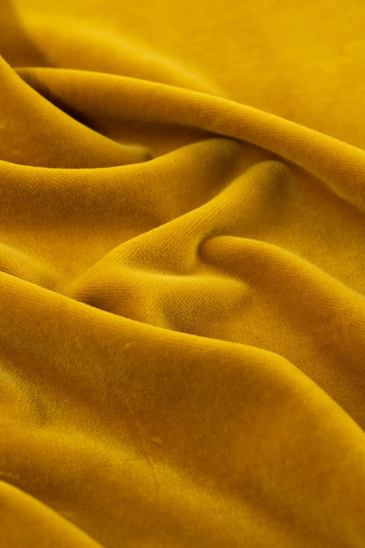 Terciopelo aalto  nugget