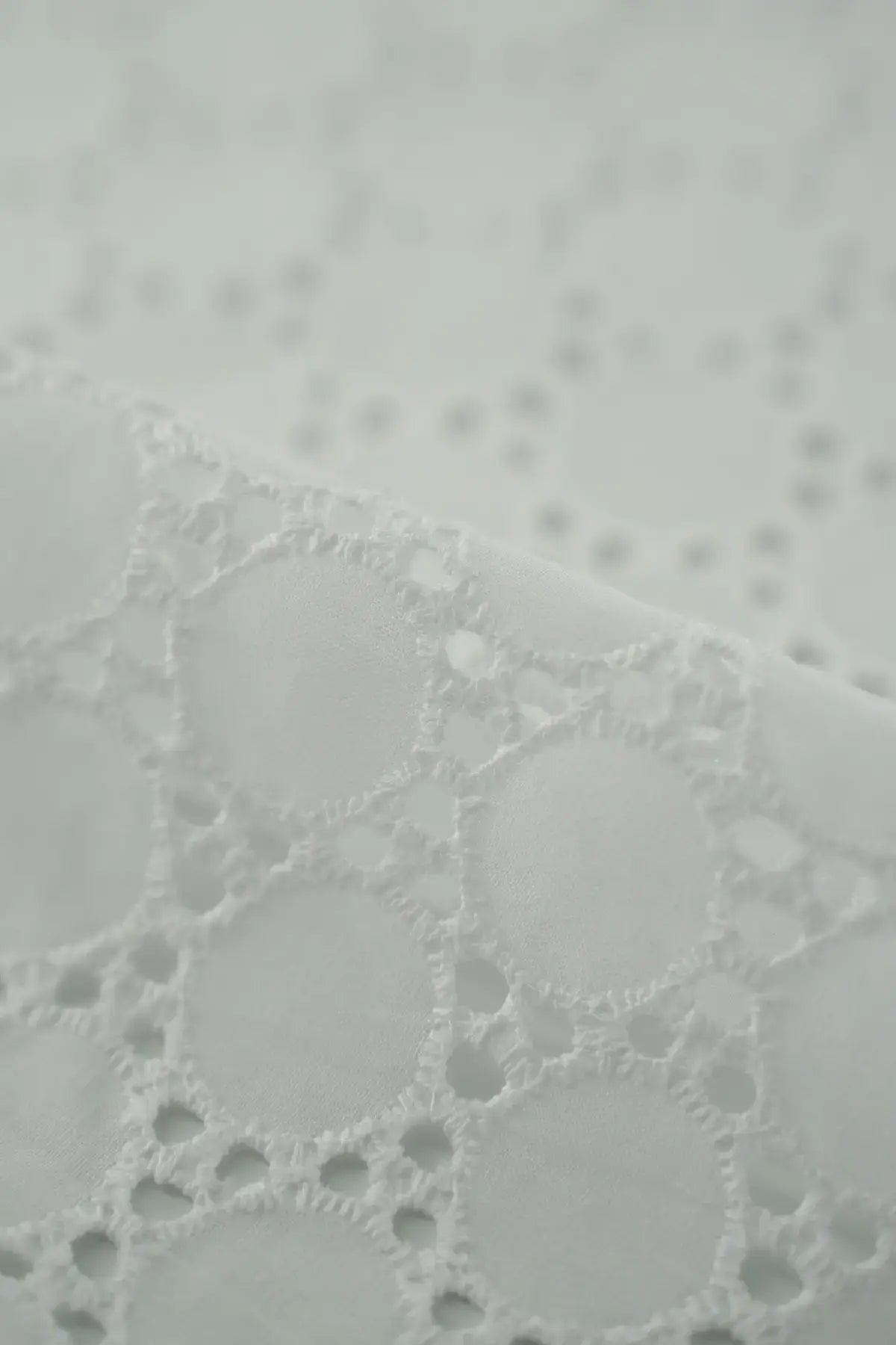 Voile (glasilla) cala  blanc de blanc