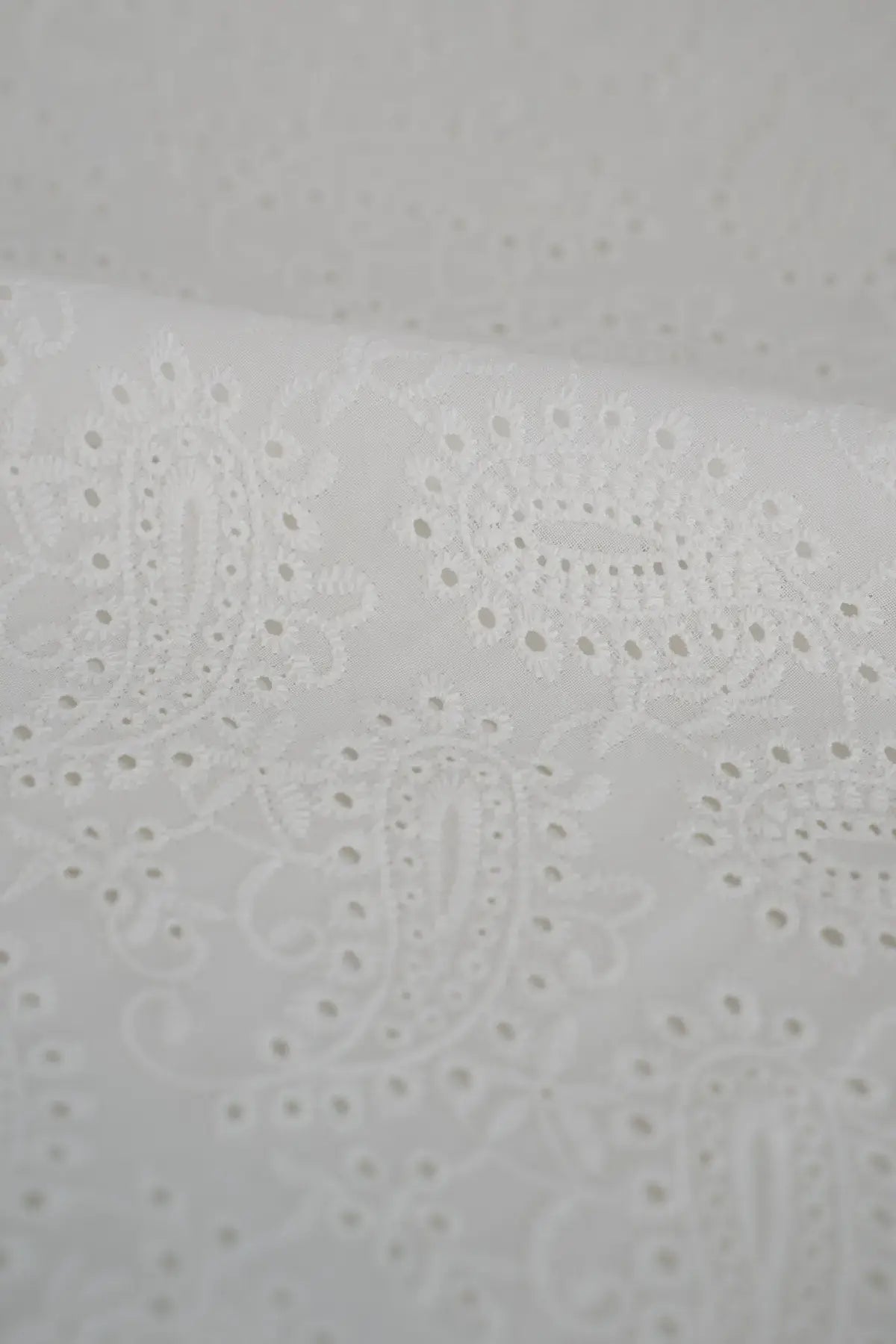 Voile (glasilla) cañaveral  blanc de blanc