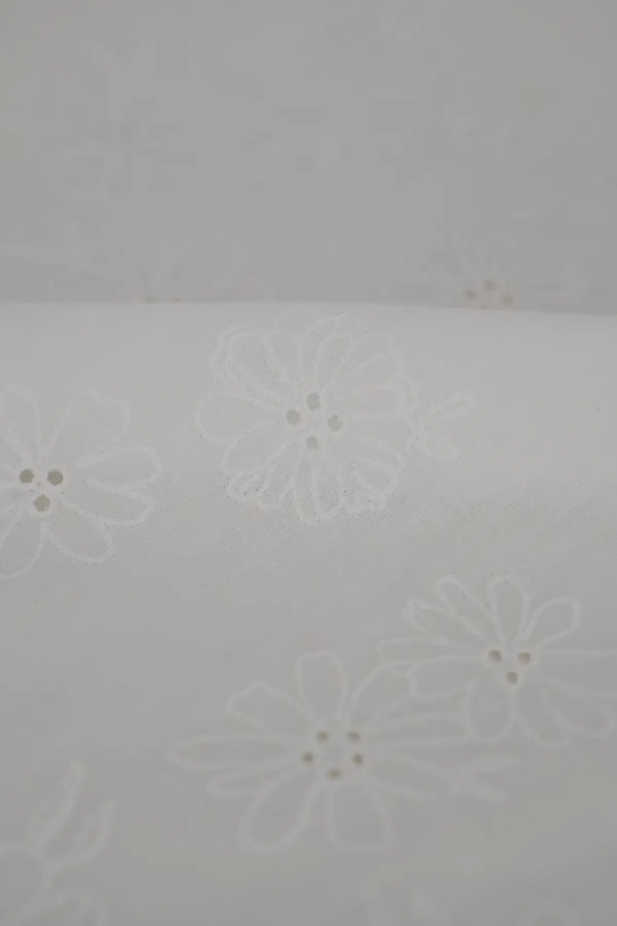 Voile (glasilla) castaño  blanc de blanc