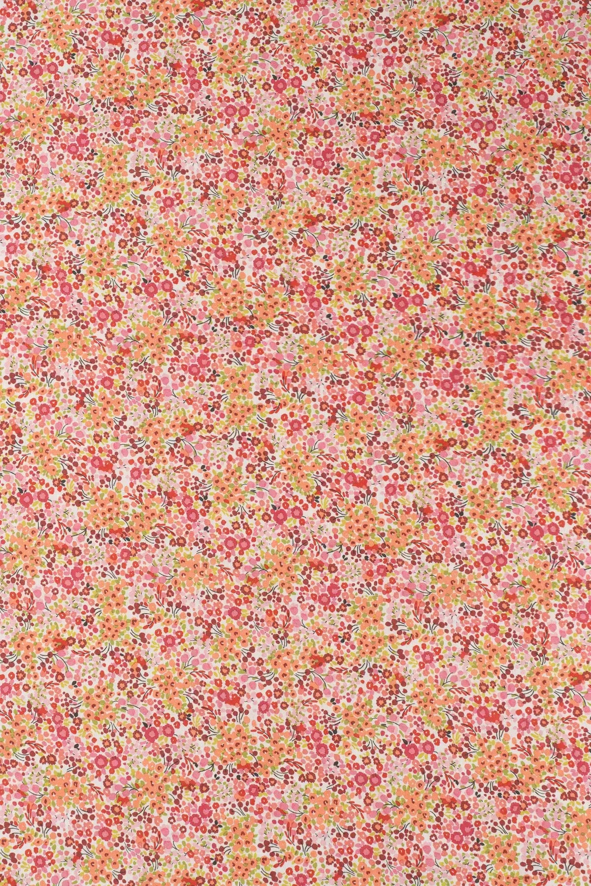 Voile (glasilla) verbascum  chili pepper