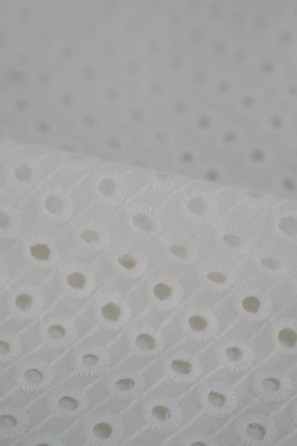Perforado castaño  blanc de blanc