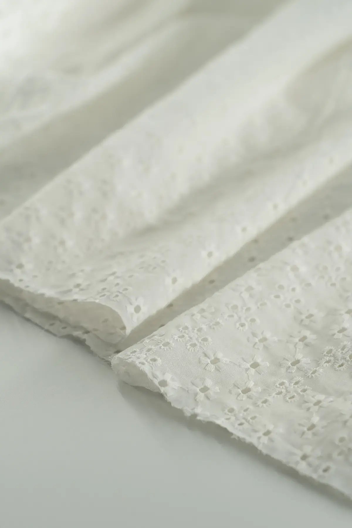Perforado hinojales  blanc de blanc