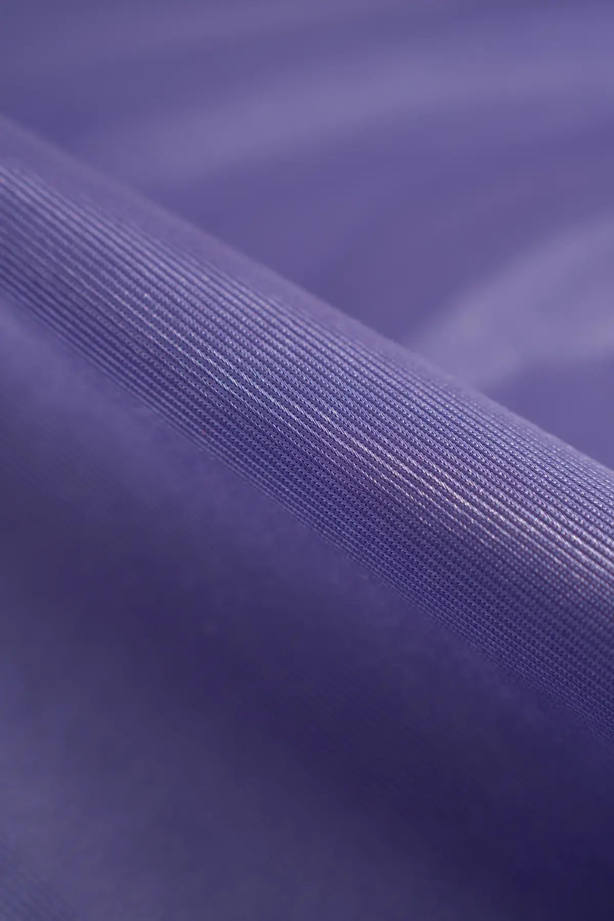 Rasete nos  violet tulip