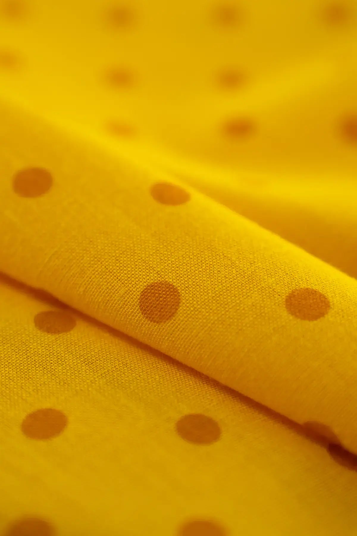 Polina tablada  citrus